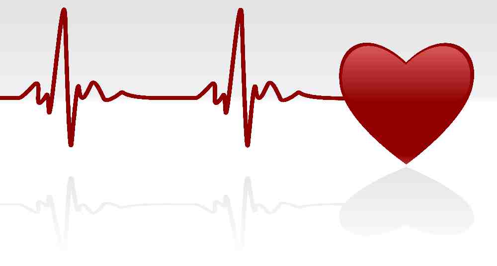 Il cuore