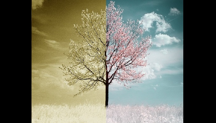 La poesia come linguaggio delle emozioni